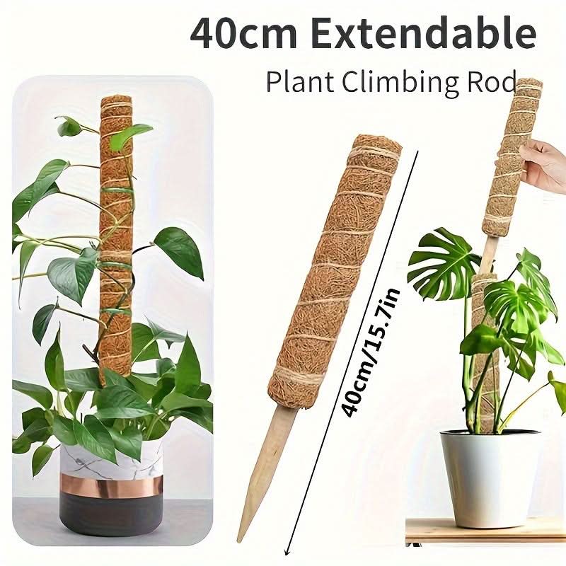 Stackable Wooden Moss Pole for Climbing Plants