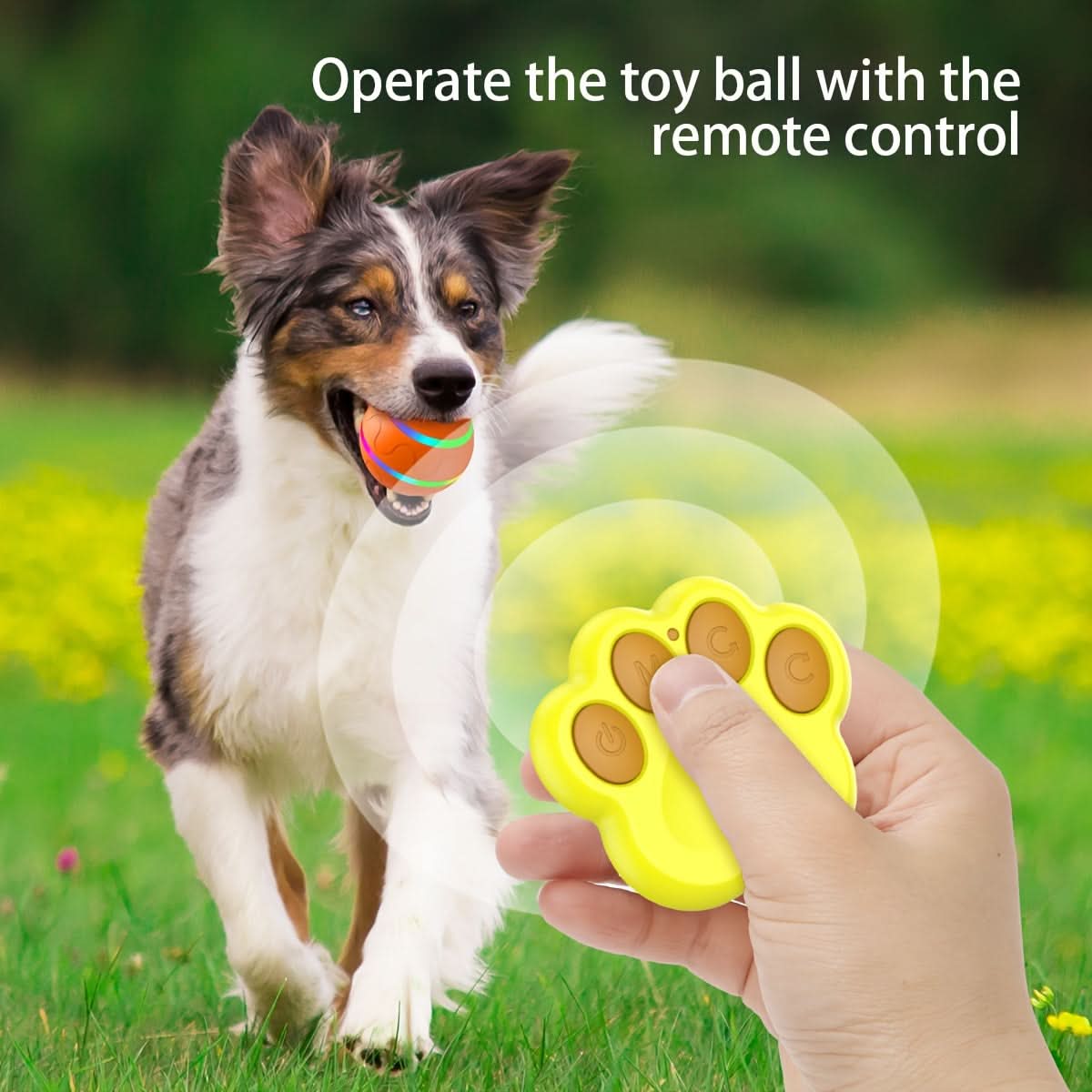USB Rechargeable Interactive Pet Ball - Jumping & Rolling Modes