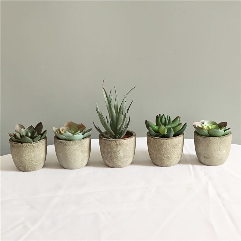 5pcs Mini Artificial Succulent Plants – Realistic Potted Decor