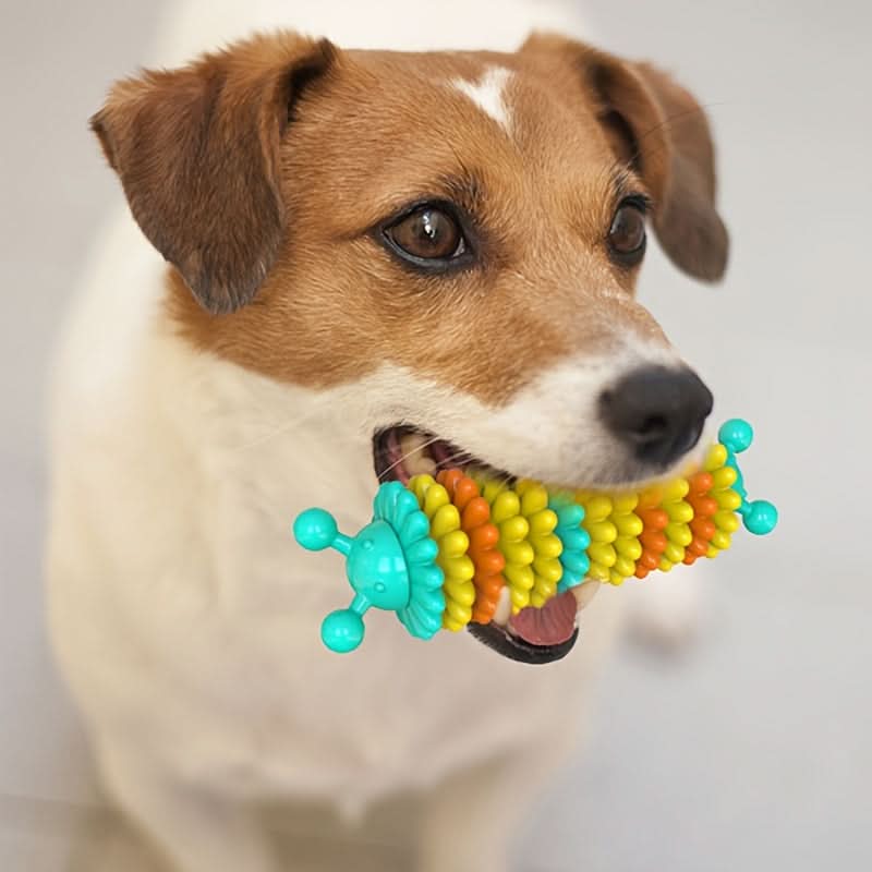 Durable Rubber Dog Chew Toy for Teething & Training