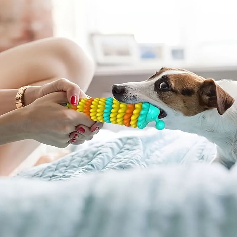 Durable Rubber Dog Chew Toy for Teething & Training