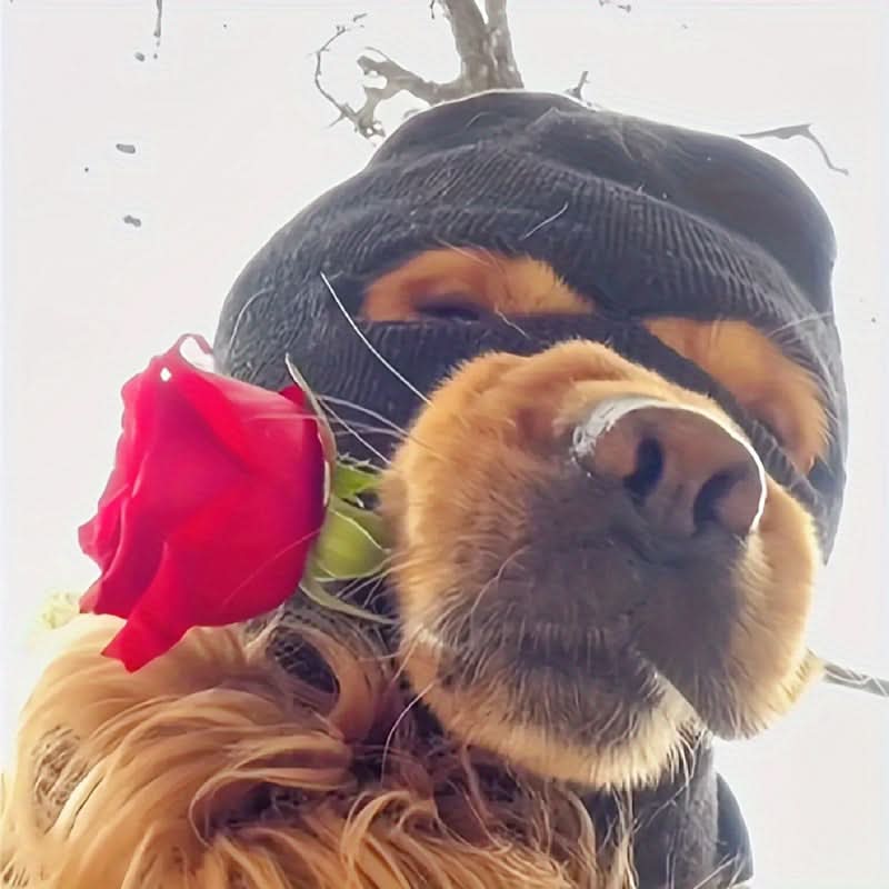 2pcs Dog Winter Hat & Glasses Set