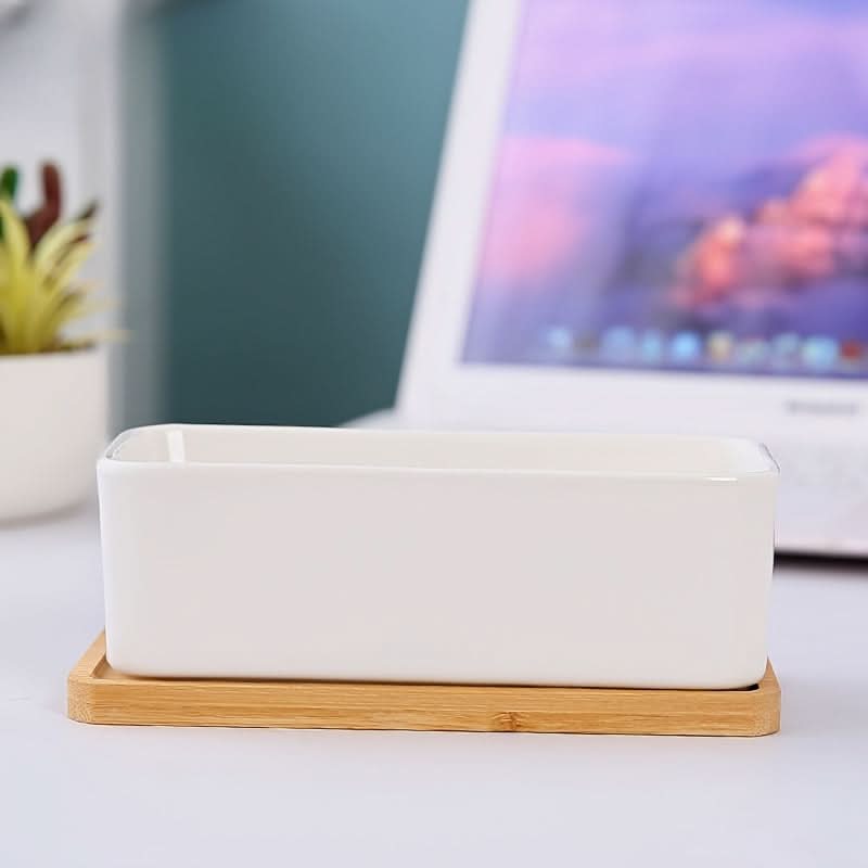 Modern White Ceramic Round Cactus Planter