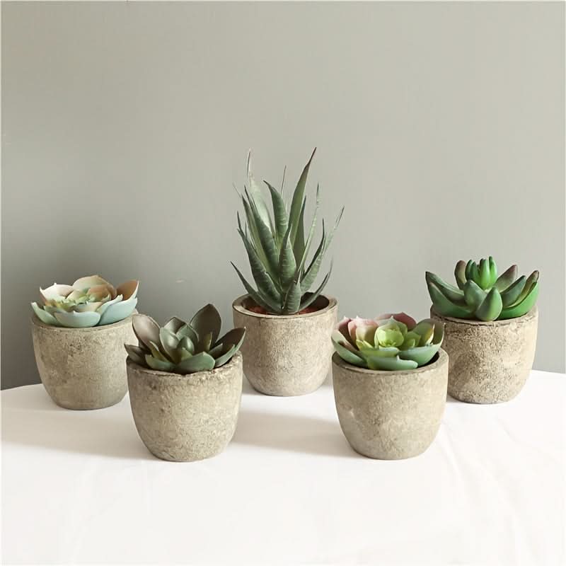5pcs Mini Artificial Succulent Plants – Realistic Potted Decor