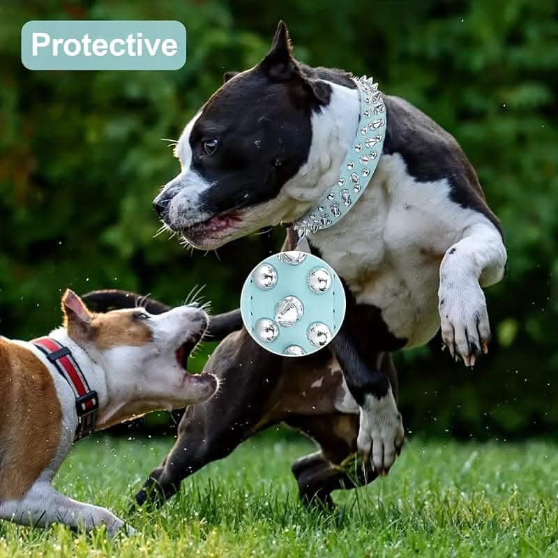 Adjustable Leather Spiked Dog Collar Set