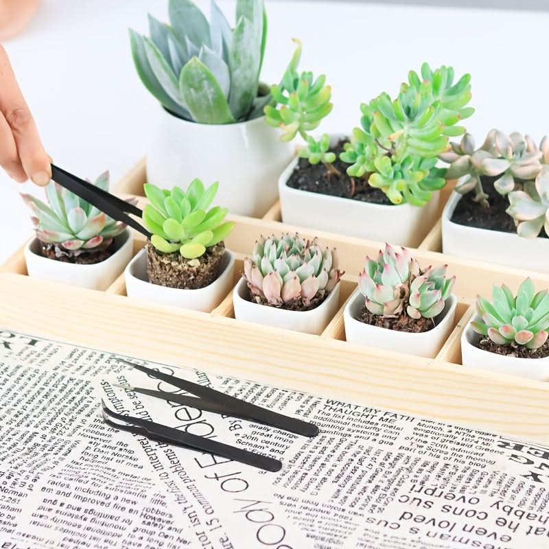 Mini Succulent & Bonsai Gardening Tool Kit
