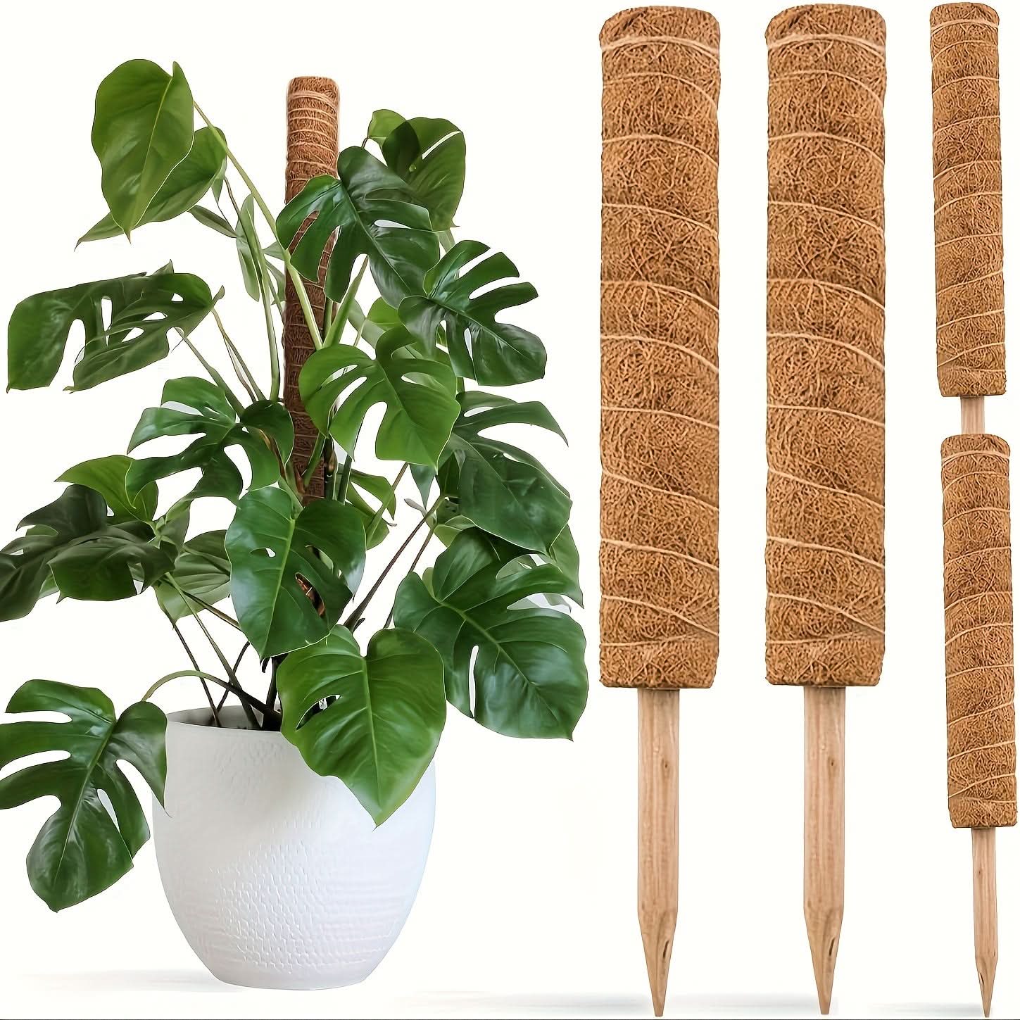Stackable Wooden Moss Pole for Climbing Plants