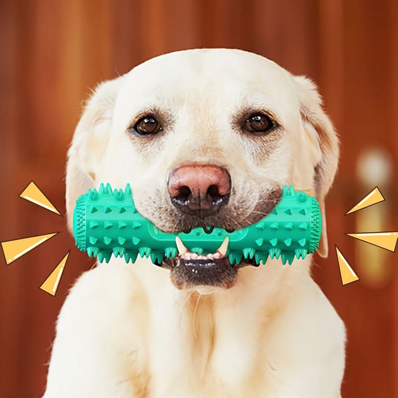 Durable Dog Chew Toothbrush for Cleaning
