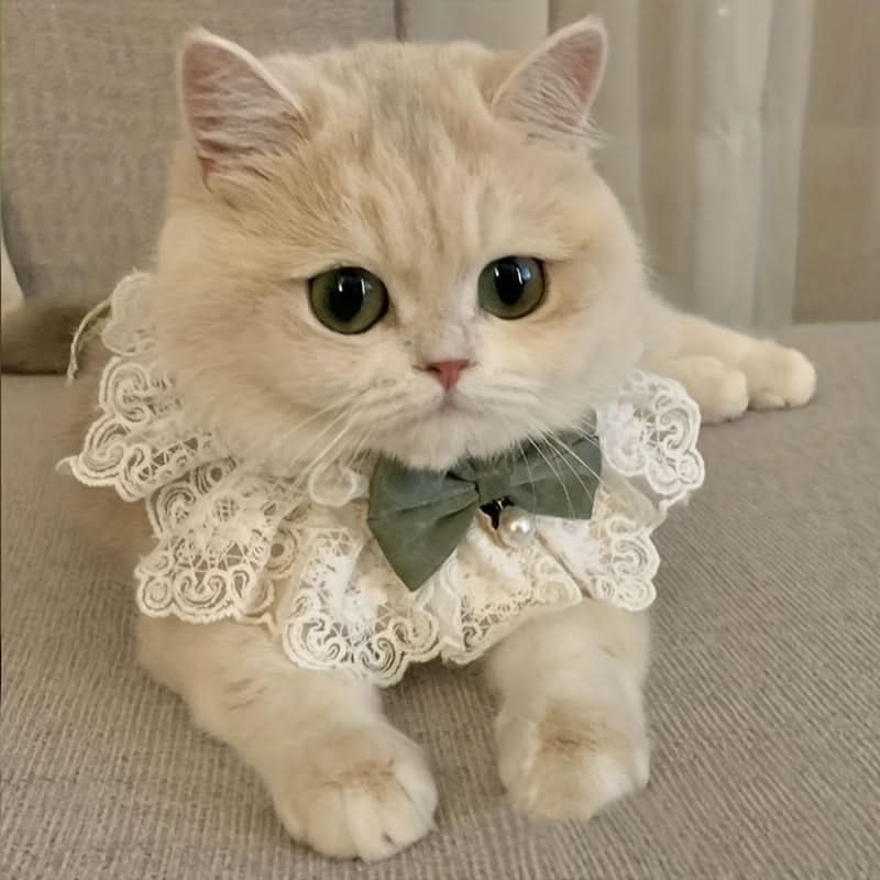 Cotton Lace Cat Dress – Breathable Princess Outfit for Small Breeds
