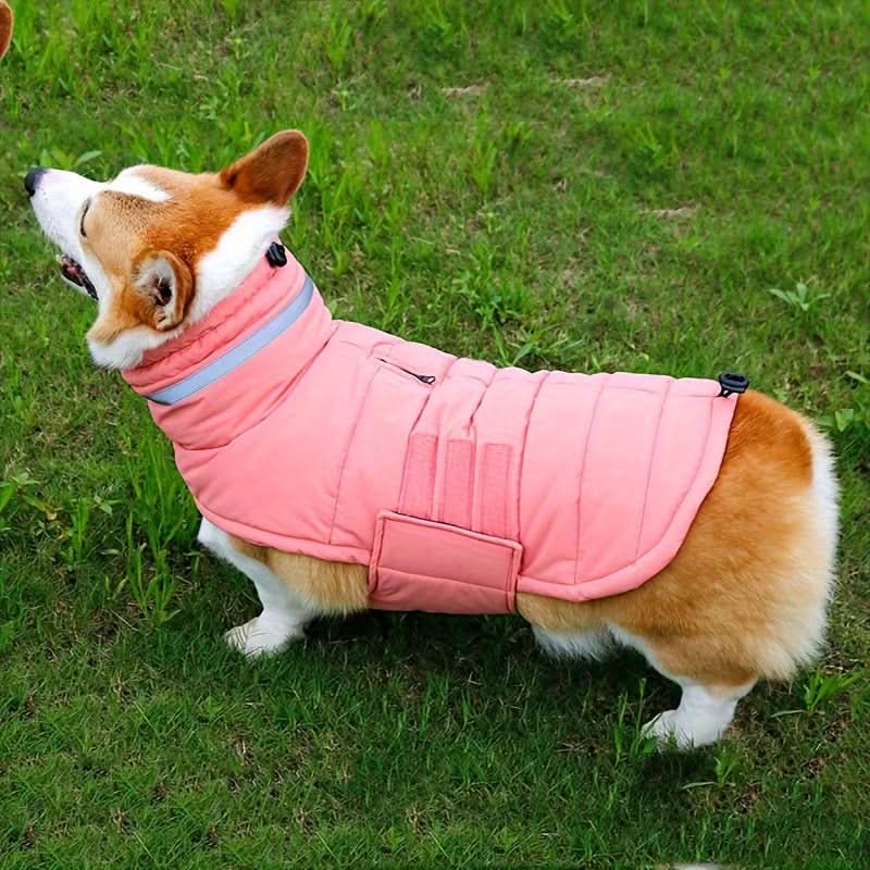Waterproof Dog Winter Coat with Harness