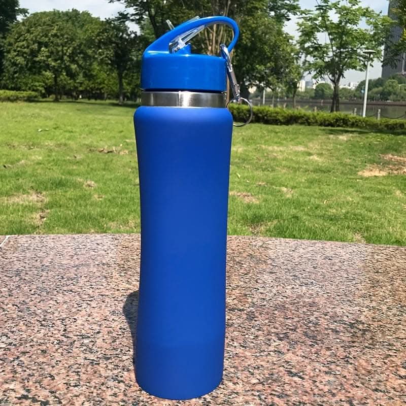 Stainless Steel Insulated Water Bottle