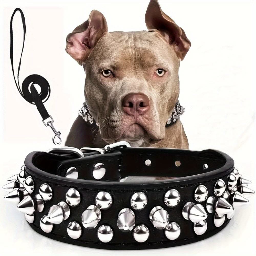 Adjustable Leather Spiked Dog Collar Set