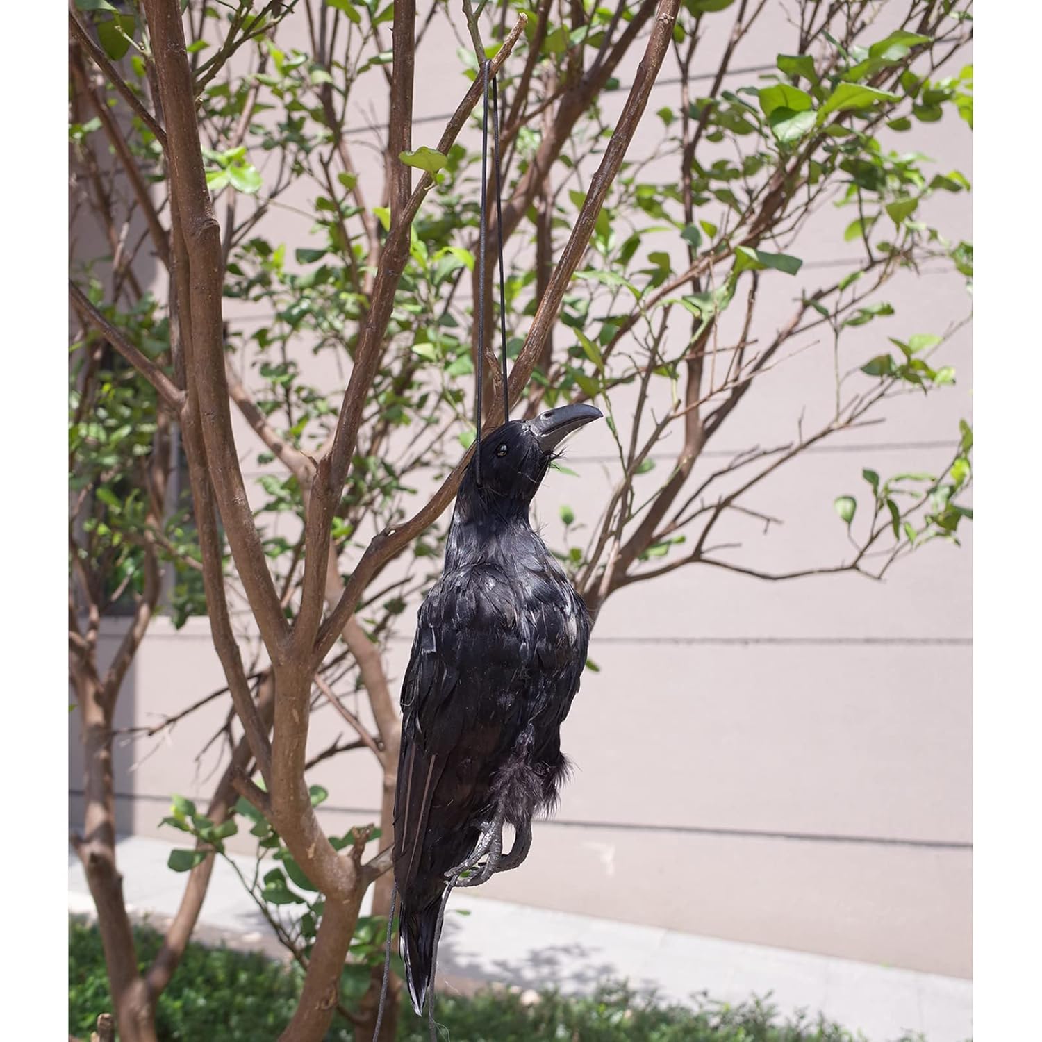 17 Inch Realistic Hanging Dead Crows Decoy Lifesize Extra Large Black Feather Scare Deterrent Crow