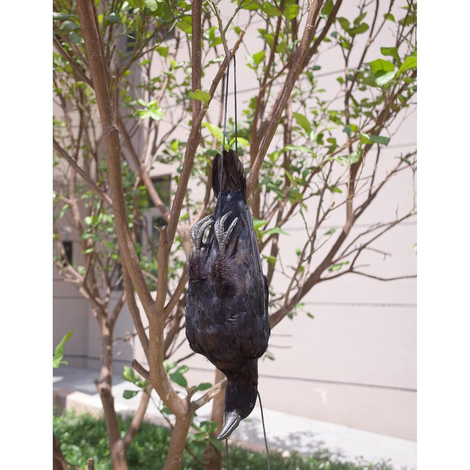 17 Inch Realistic Hanging Dead Crows Decoy Lifesize Extra Large Black Feather Scare Deterrent Crow