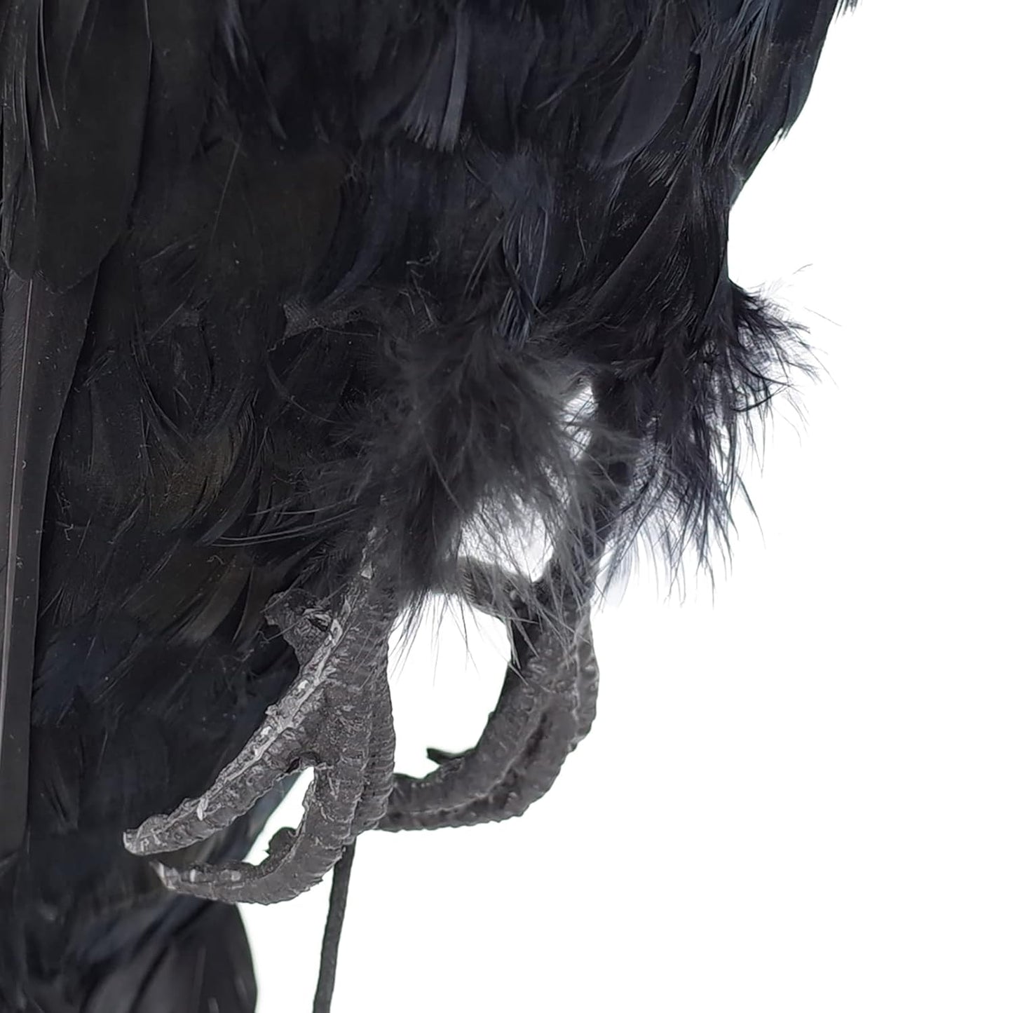 17 Inch Realistic Hanging Dead Crows Decoy Lifesize Extra Large Black Feather Scare Deterrent Crow