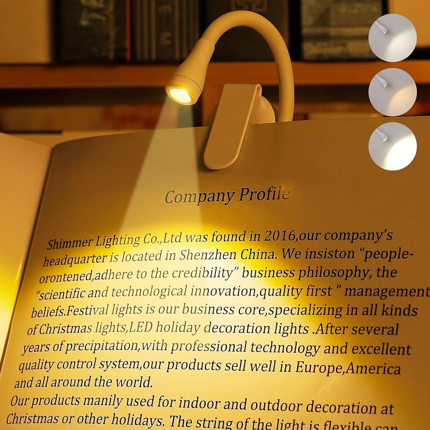 Portable Clip-On LED Reading Light