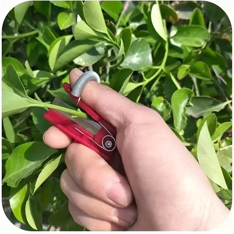 Ultimate Multi-Function Thumb Knife for Precision Gardening