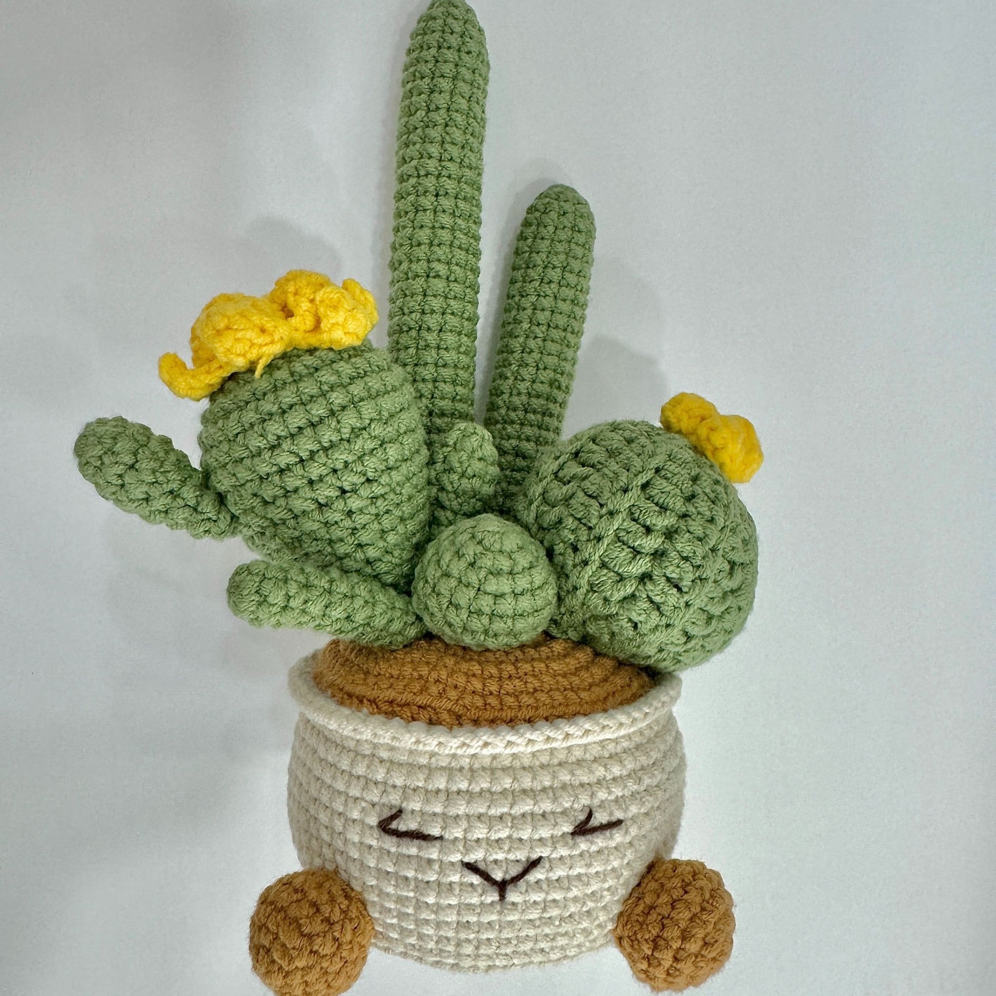 Handmade Crochet Cactus Artificial Plant with Container