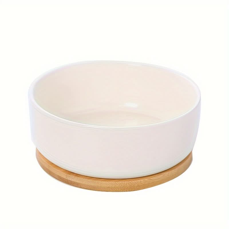 Modern White Ceramic Round Cactus Planter