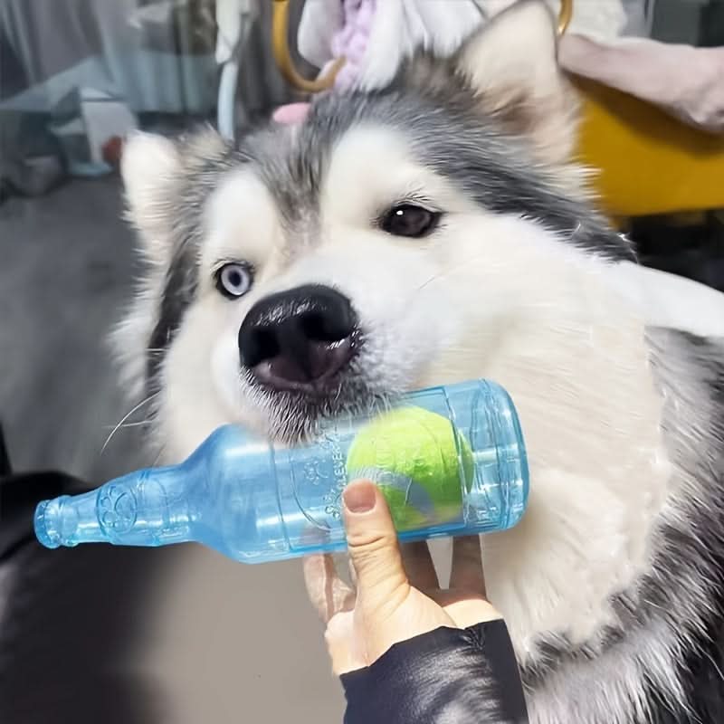 Durable Dog Chew Toy with Sound