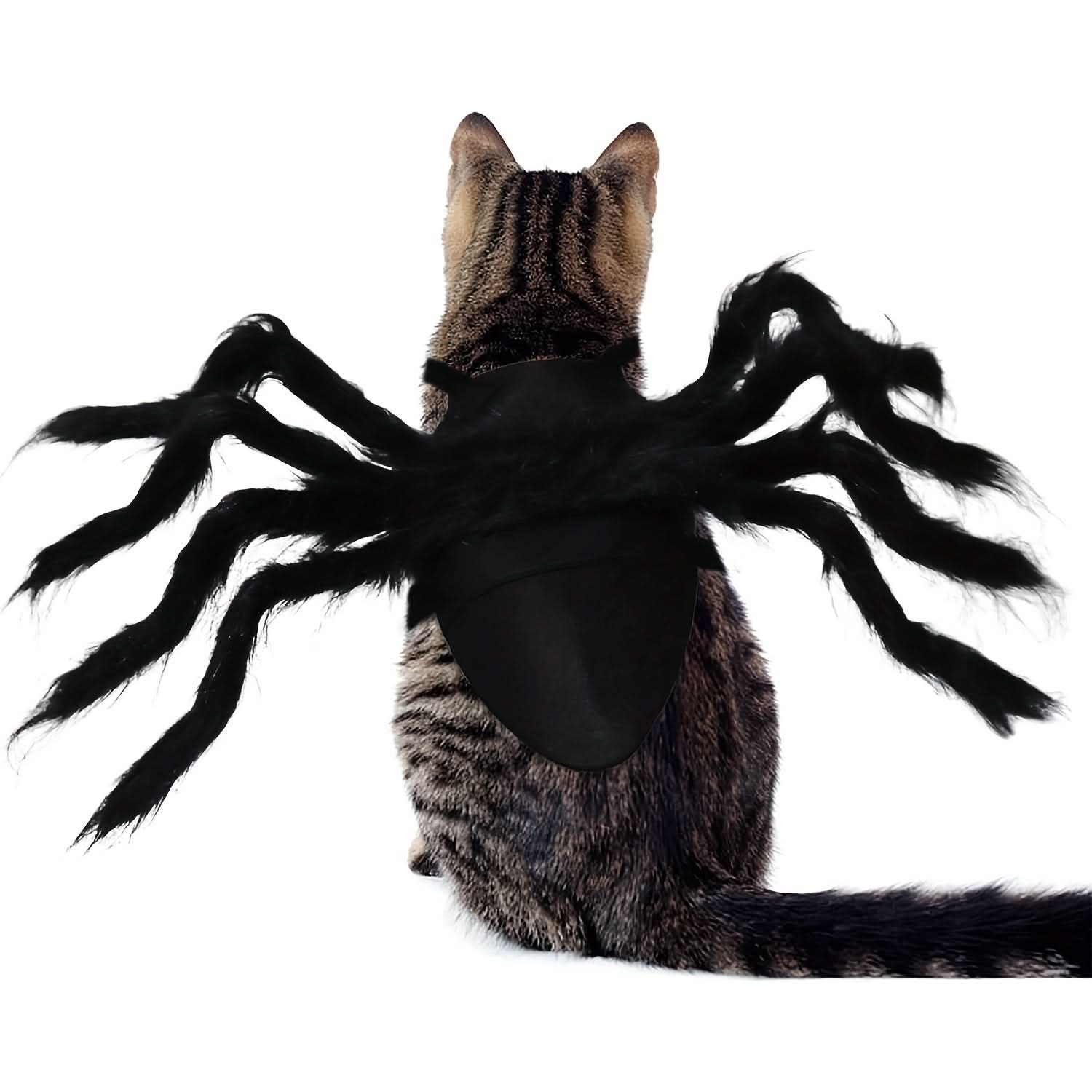 Furry Spider Pet Costume for Small Dogs & Cats
