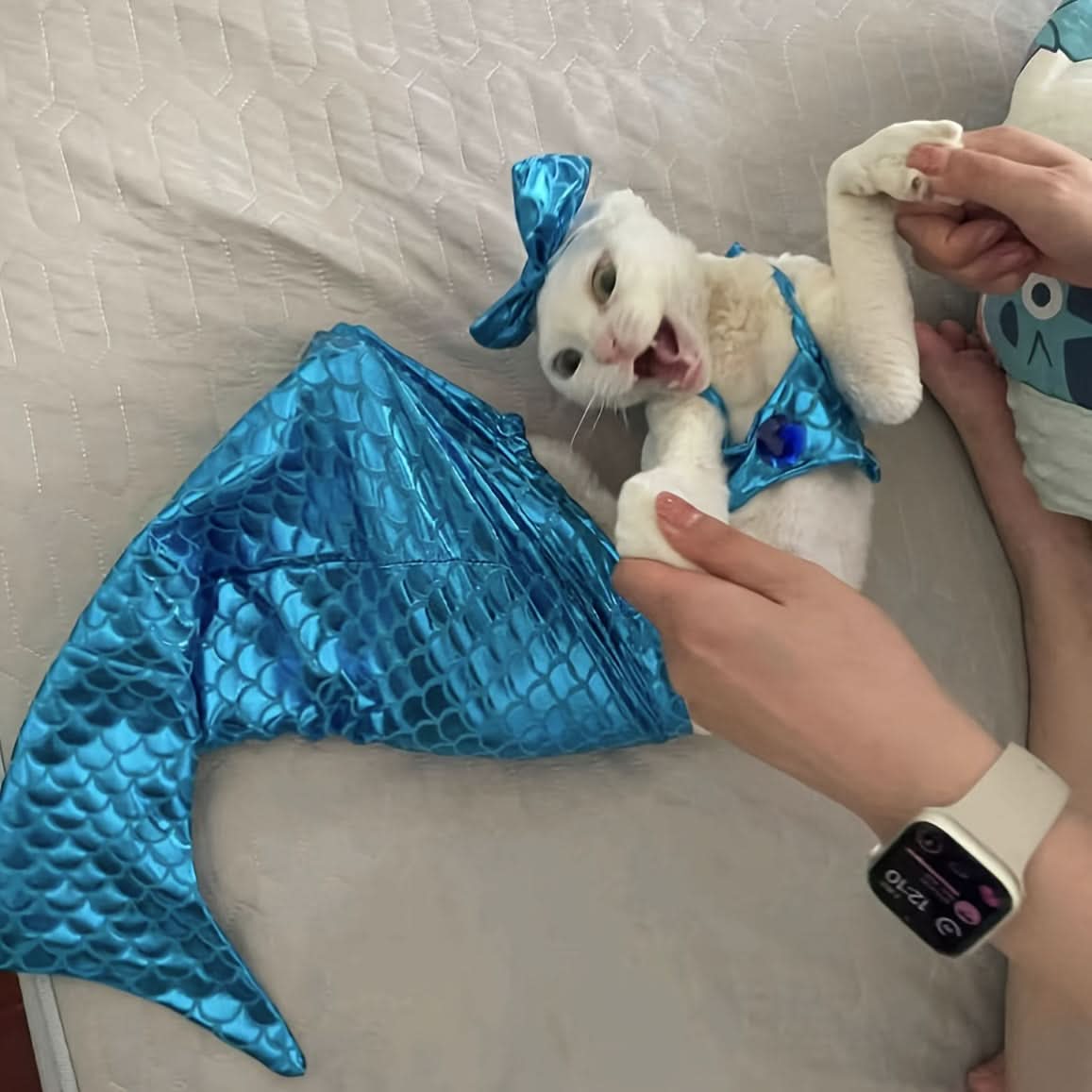 Adorable Cat Mermaid Costume for Small Pets