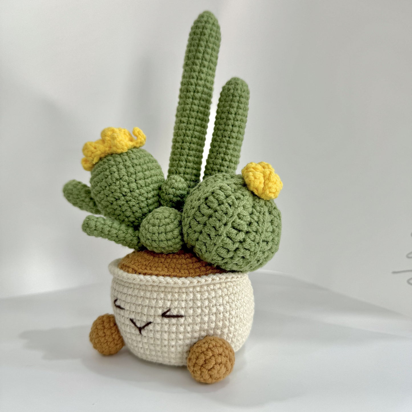 Handmade Crochet Cactus Artificial Plant with Container