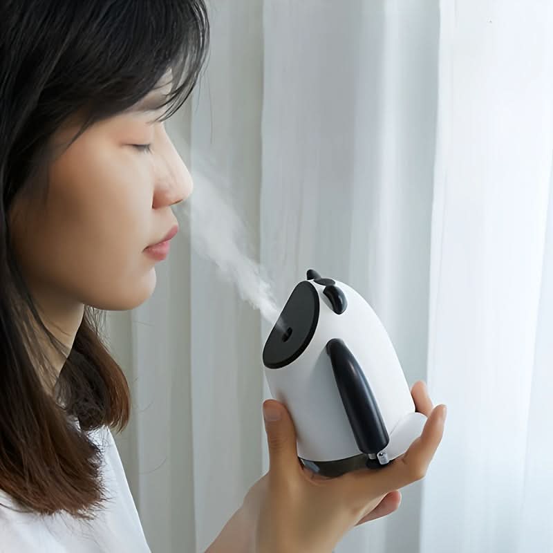Portable USB Cooling Fan & Humidifier