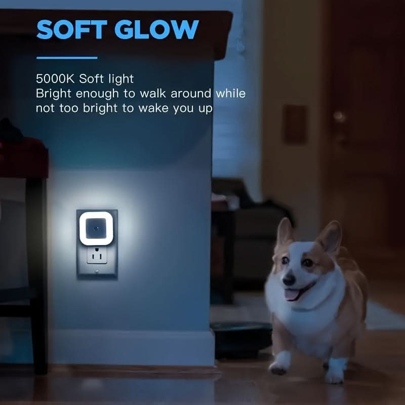 2-Pack Intelligent LED Night Light with Dusk to Dawn Sensor