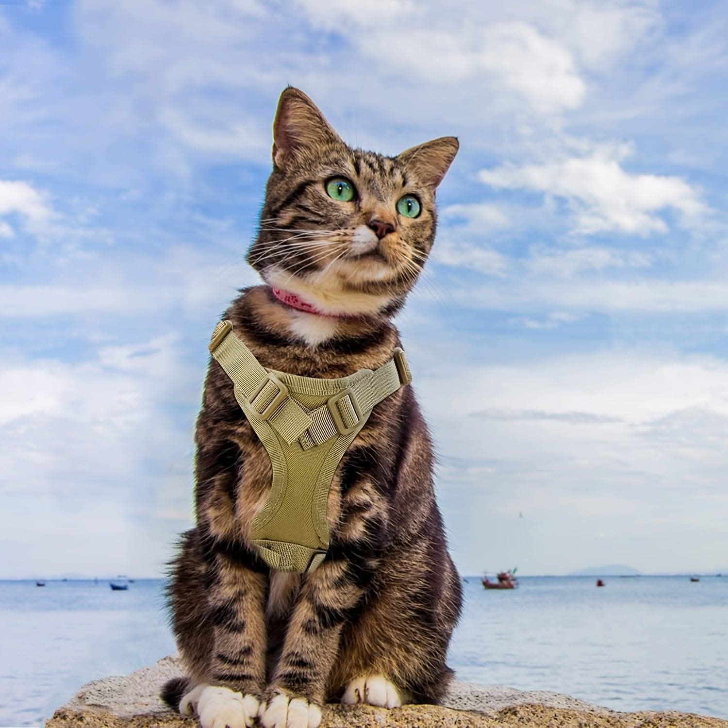 Adjustable 600D Tactical Pet Vest Harness - Durable, Comfortable, & Stylish Training Gear for Cats and Puppies