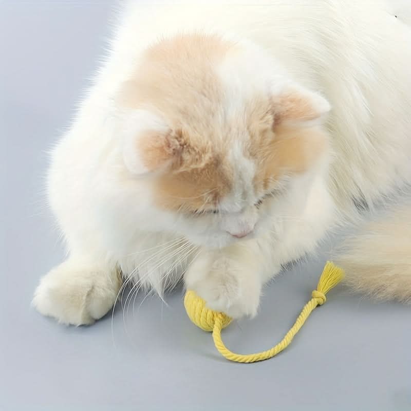 4pcs Rolling Ball Cat Toy with Bell