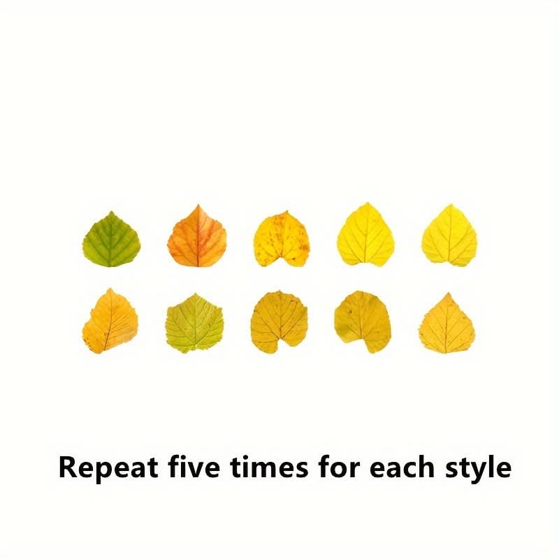 50pcs Vibrant Fallen Leaves Washi Tape Roll