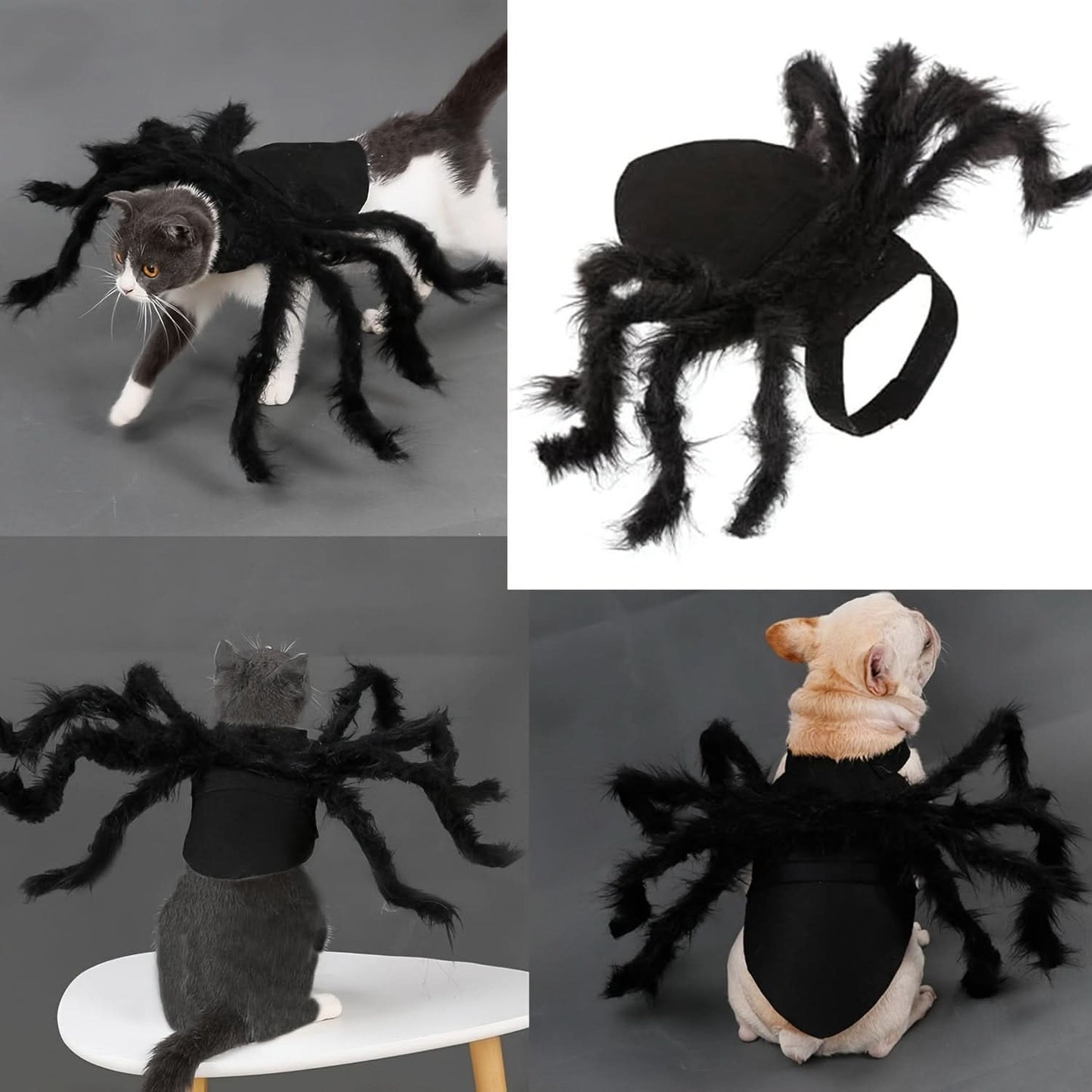 Furry Spider Pet Costume for Small Dogs & Cats