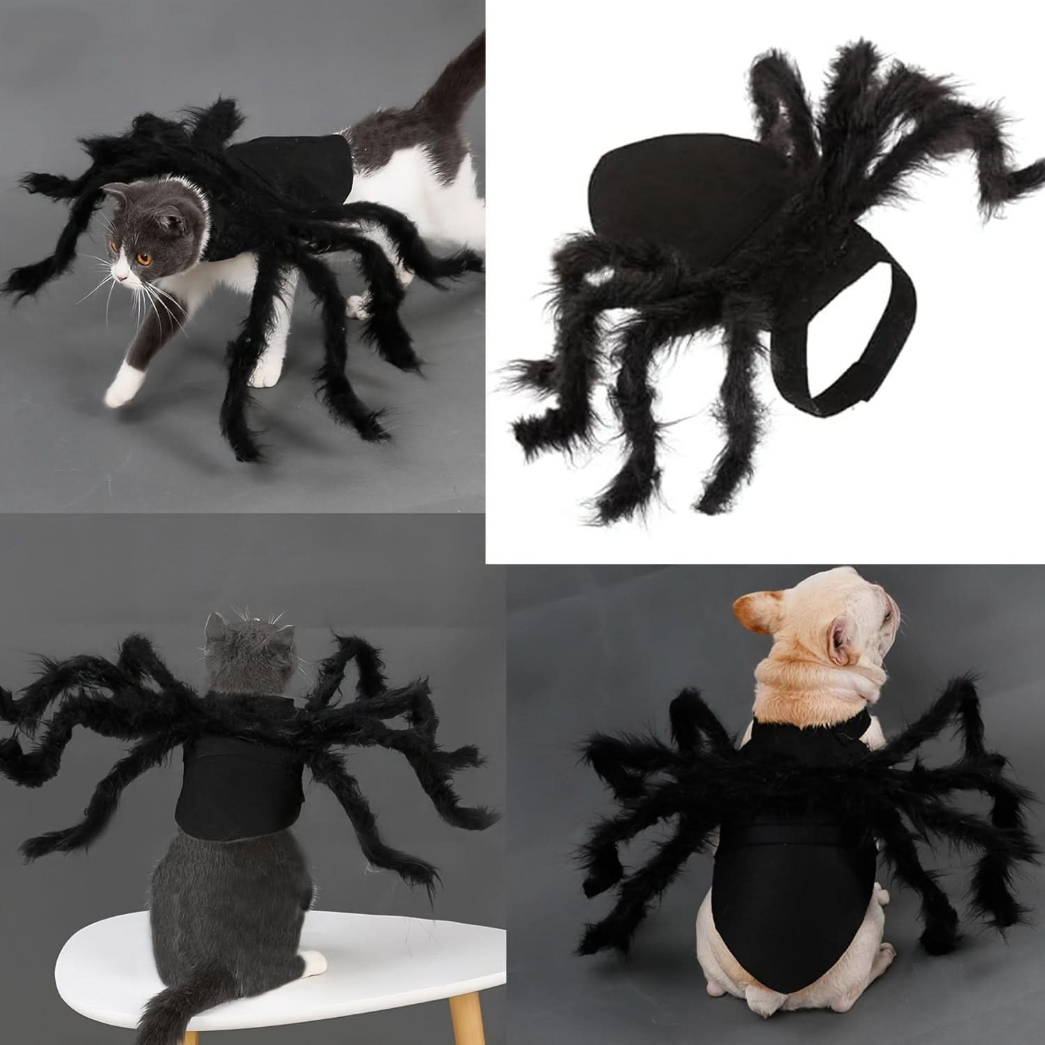 Furry Spider Pet Costume for Small Dogs & Cats