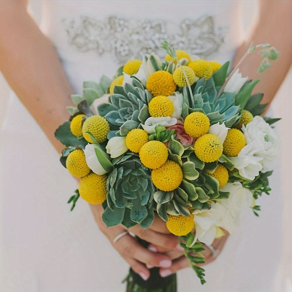 10/20/30pcs Dried Craspedia Flowers for Decor