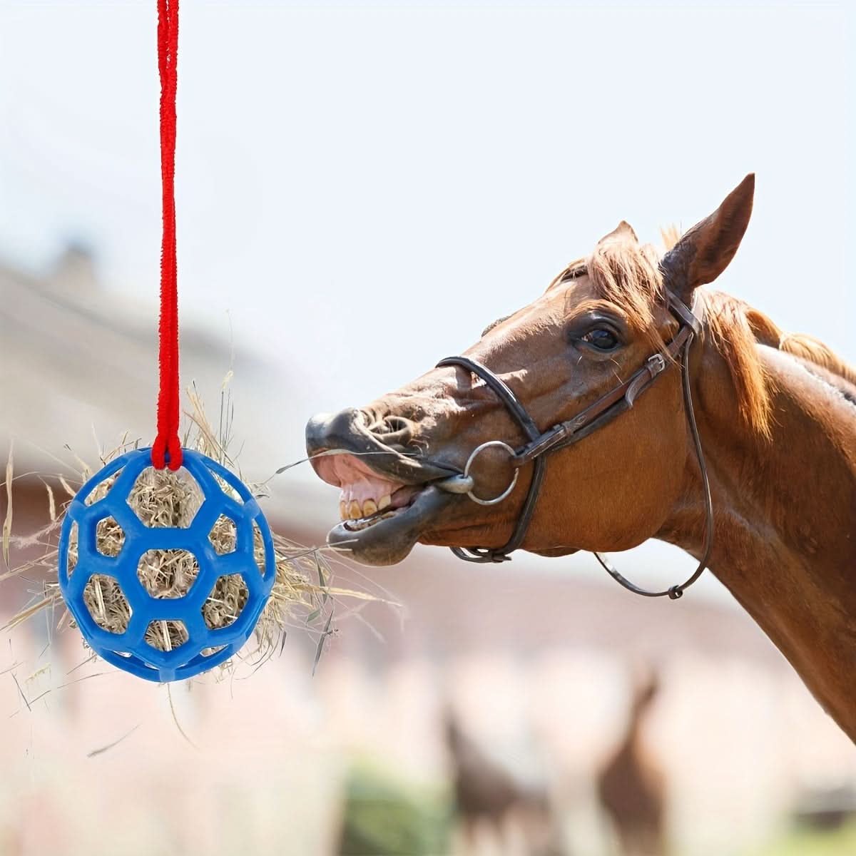 Plaid Silicone Horse Feeding Ball – Colorful Hay Dispenser