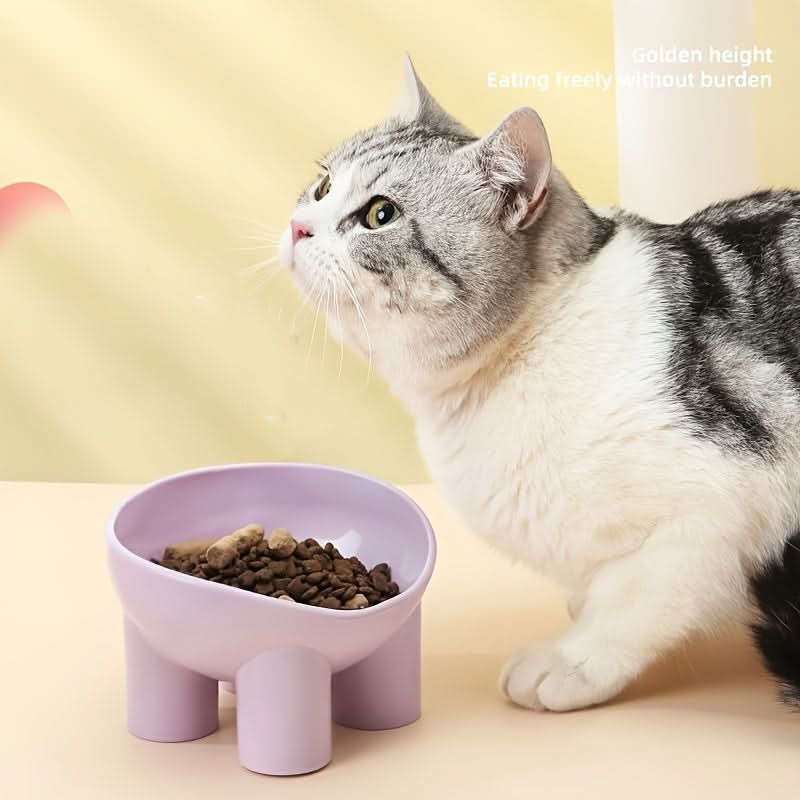 15-Degree Tilted Cat Bowls - Anti-Vomiting Elevated Set