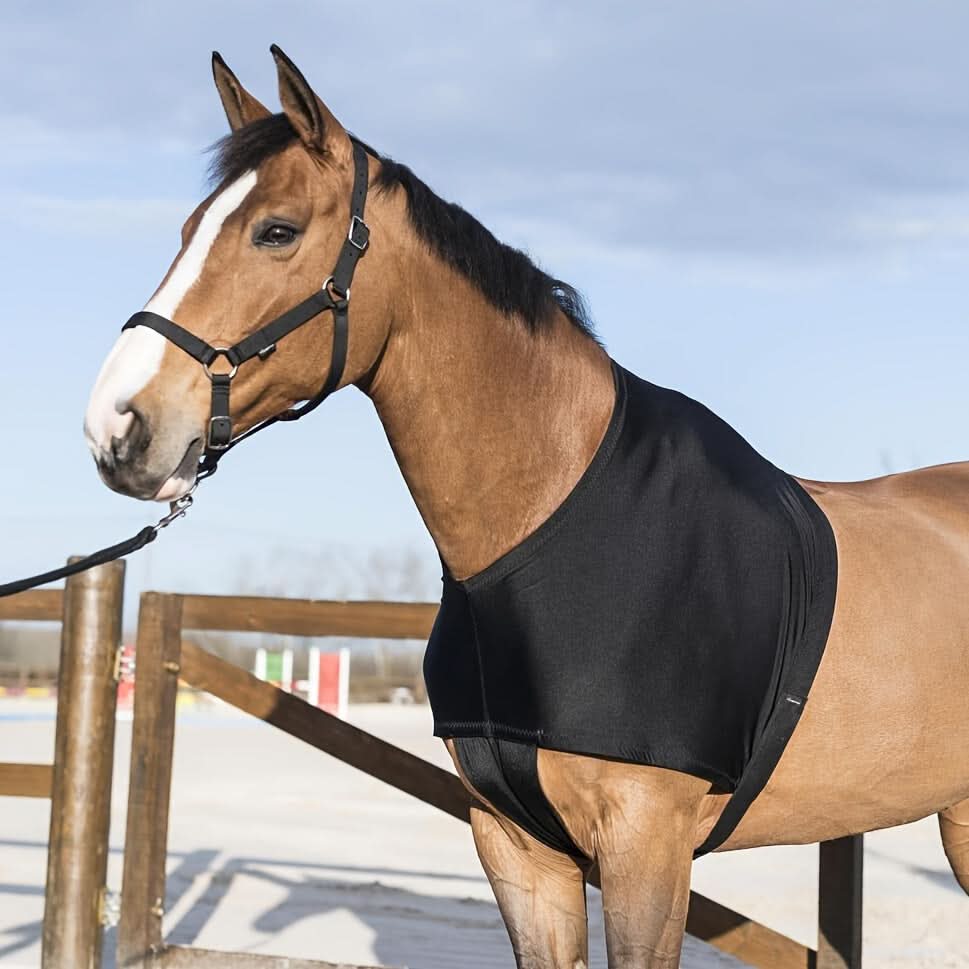 Spandex Horse Shoulder Guard – Quick-Release Protector for Riding Safety