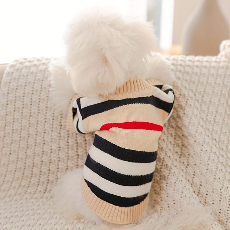 Cartoon Dog Sweaters for Small Dogs, Winter Knitwear