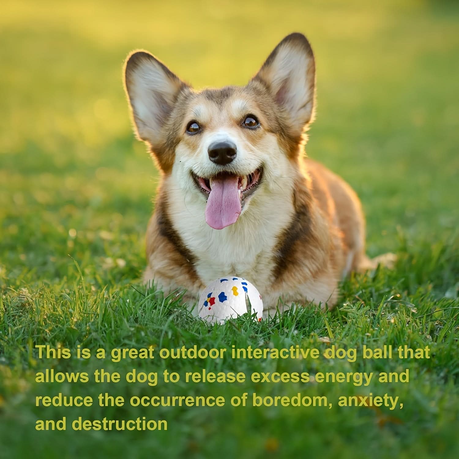 Durable Bouncy Chew Ball – Tough Dog Toy for Aggressive Chewers