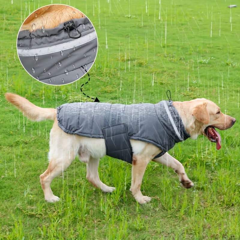Waterproof Dog Winter Coat with Harness