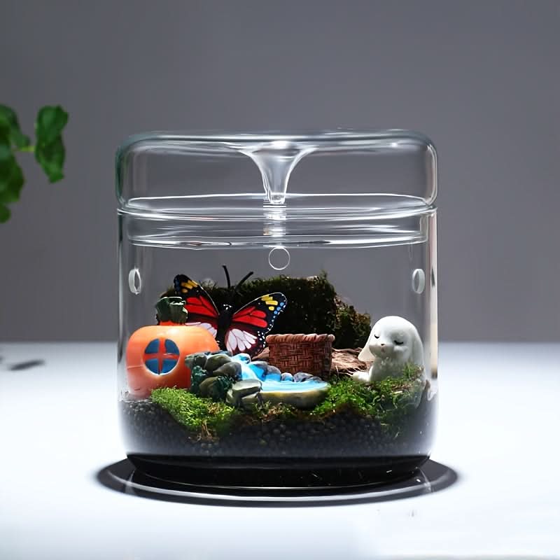 Mini Glass Vase for Plants & Moss