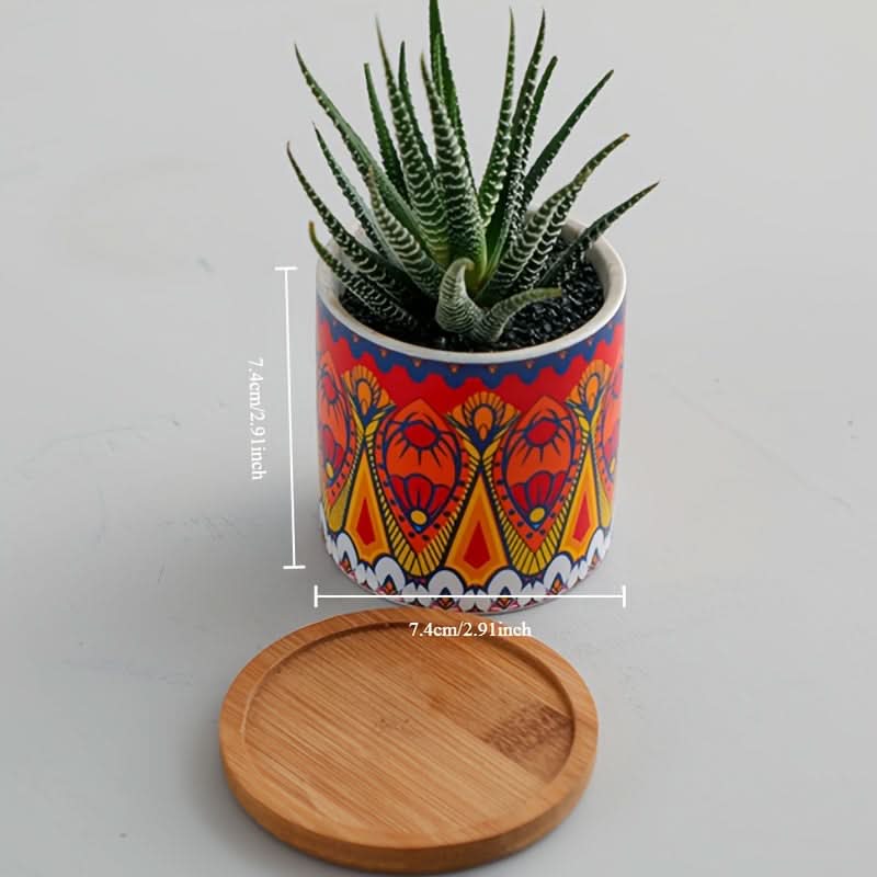 Modern Ceramic Succulent Planter for Decor