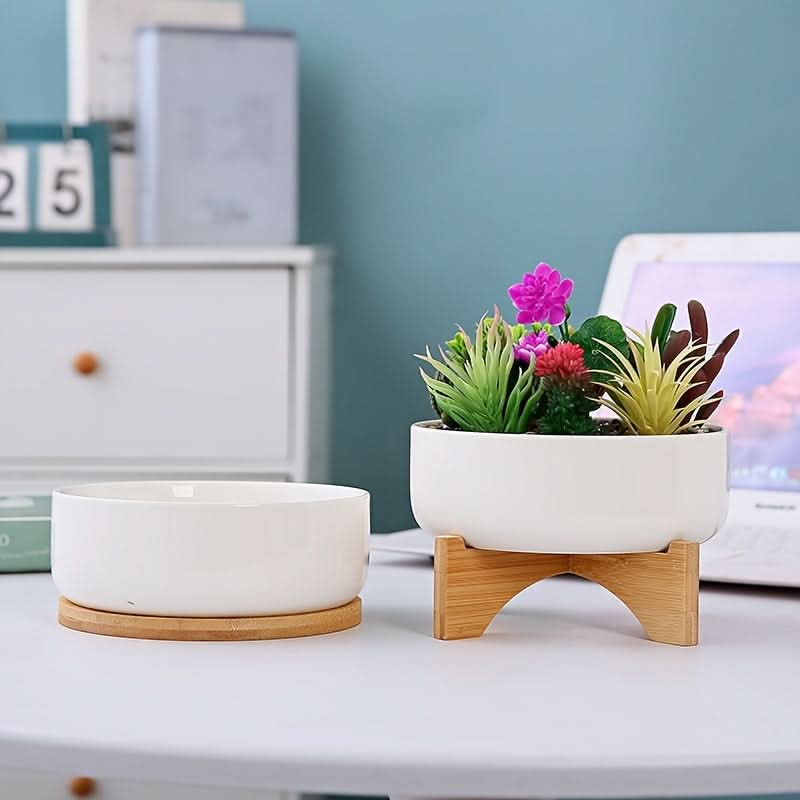 Modern White Ceramic Round Cactus Planter