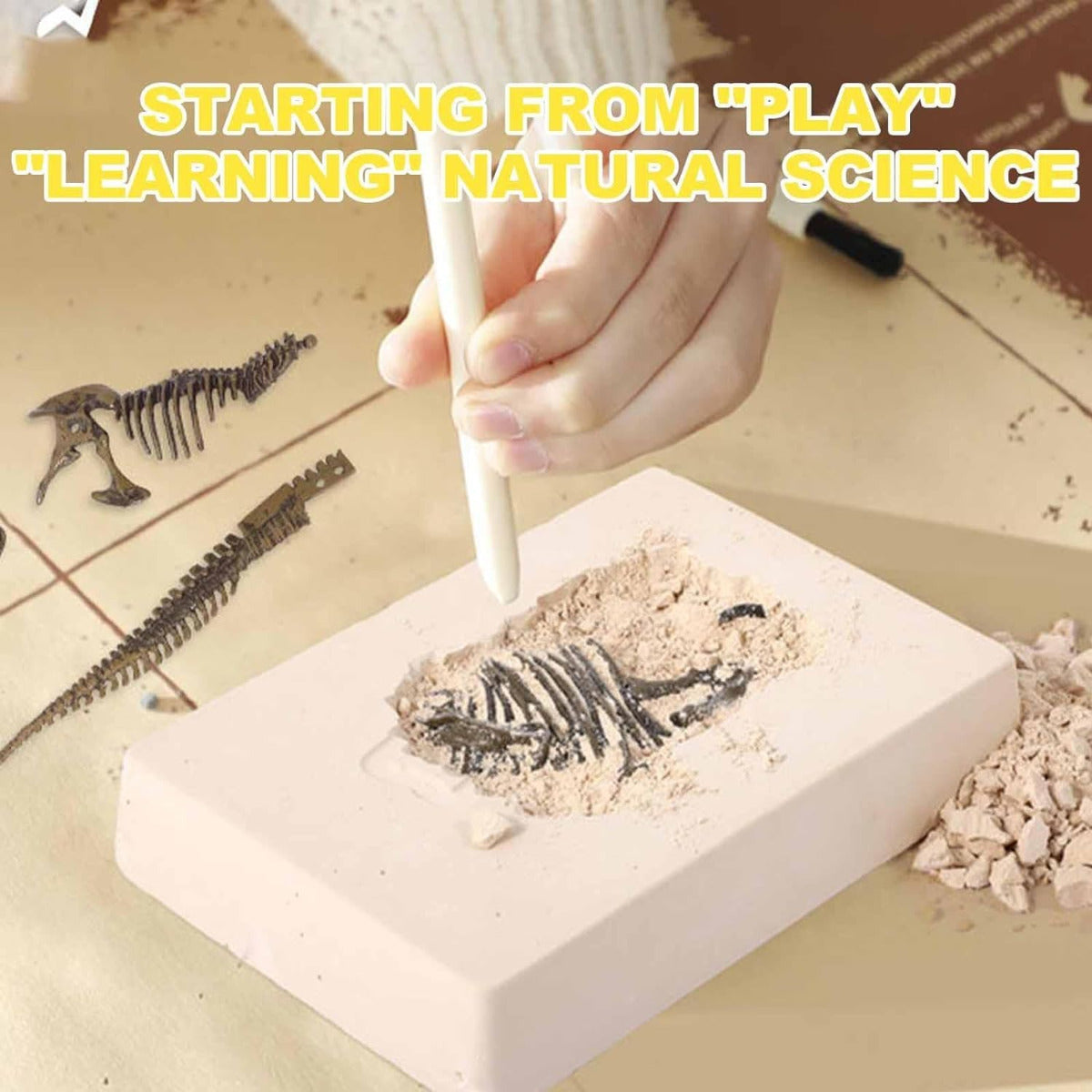 Dinosaur Dig Excavation Kit Stegosaurus