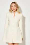 Button Down Dress