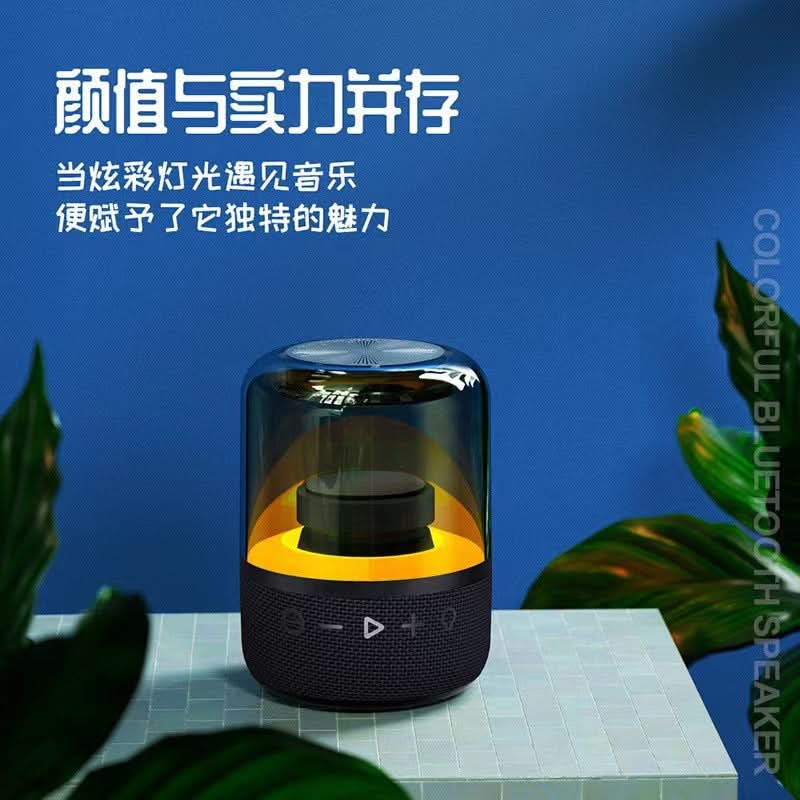 Mini Bluetooth Subwoofer Speaker – Outdoor Ready