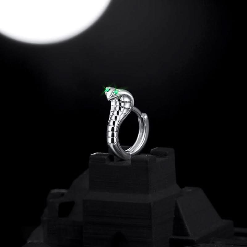 Unisex Titanium Steel Snake Earrings – Hip-Hop Cobra Design