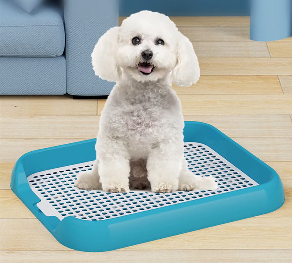 Small Dog Toilet with Anti-Slip Base