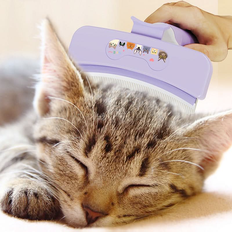 Pet Hair Removal Comb – Massage Brush for Cats & Dogs, Detangling & Thinning Comb